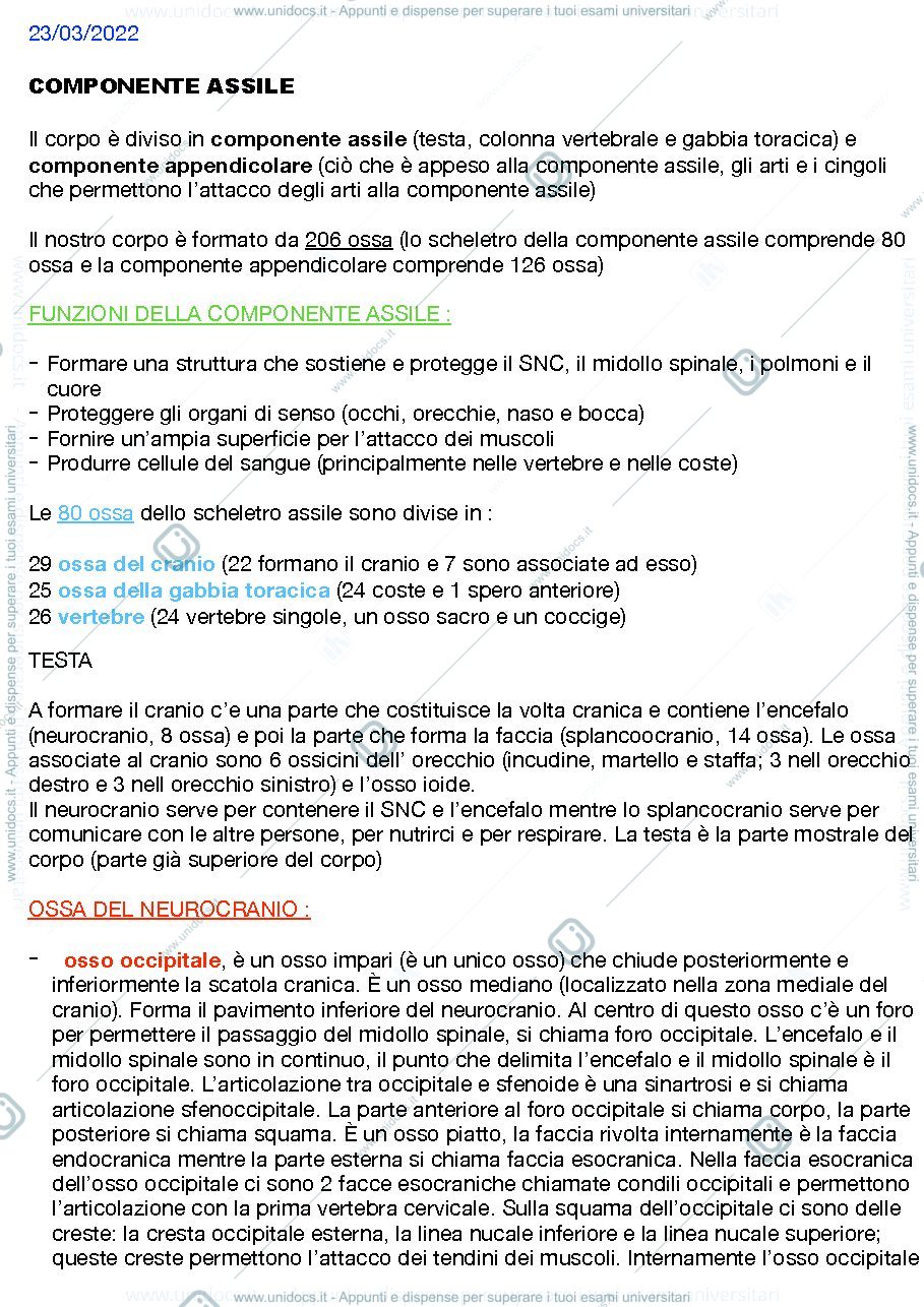 Anteprima pagina 1 — Anatomia umana 2022