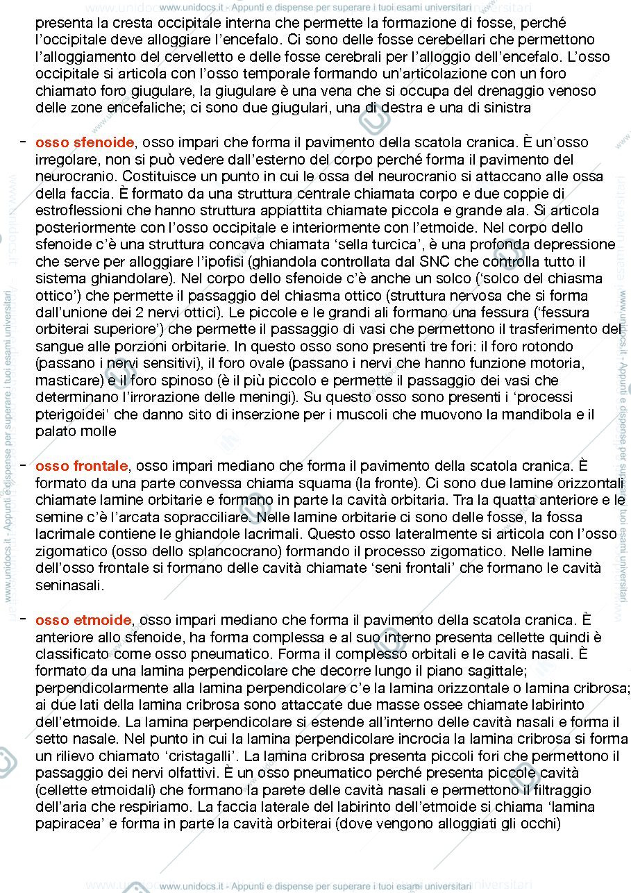 Anteprima pagina 2 — Anatomia umana 2022