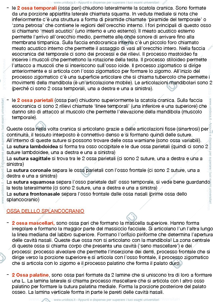 Anteprima pagina 3 — Anatomia umana 2022