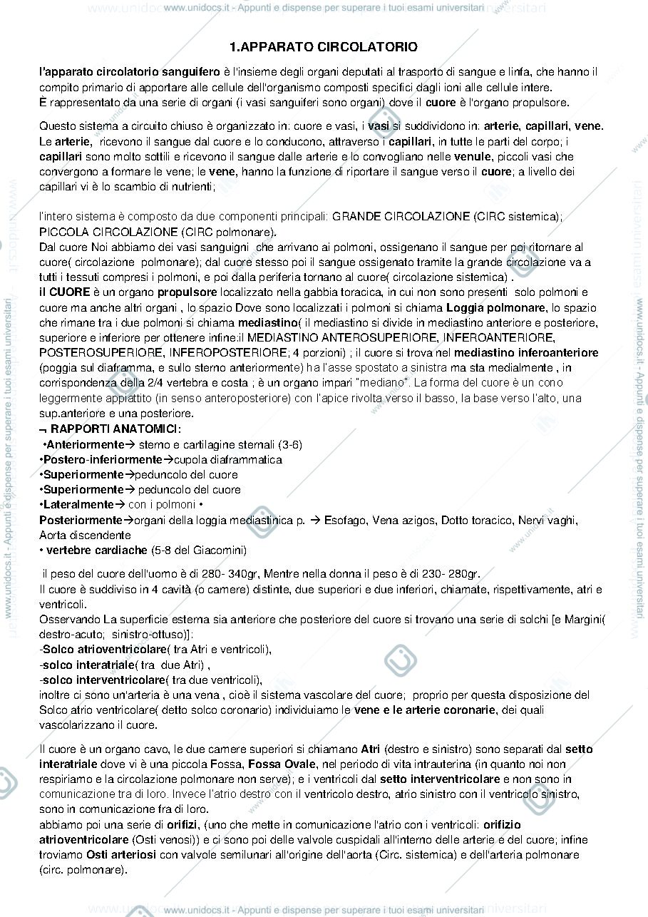 Anteprima pagina 2 — Anatomia