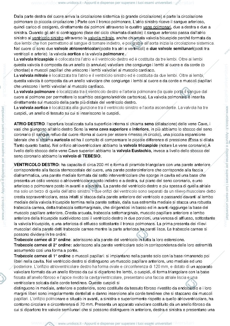 Anteprima pagina 3 — Anatomia
