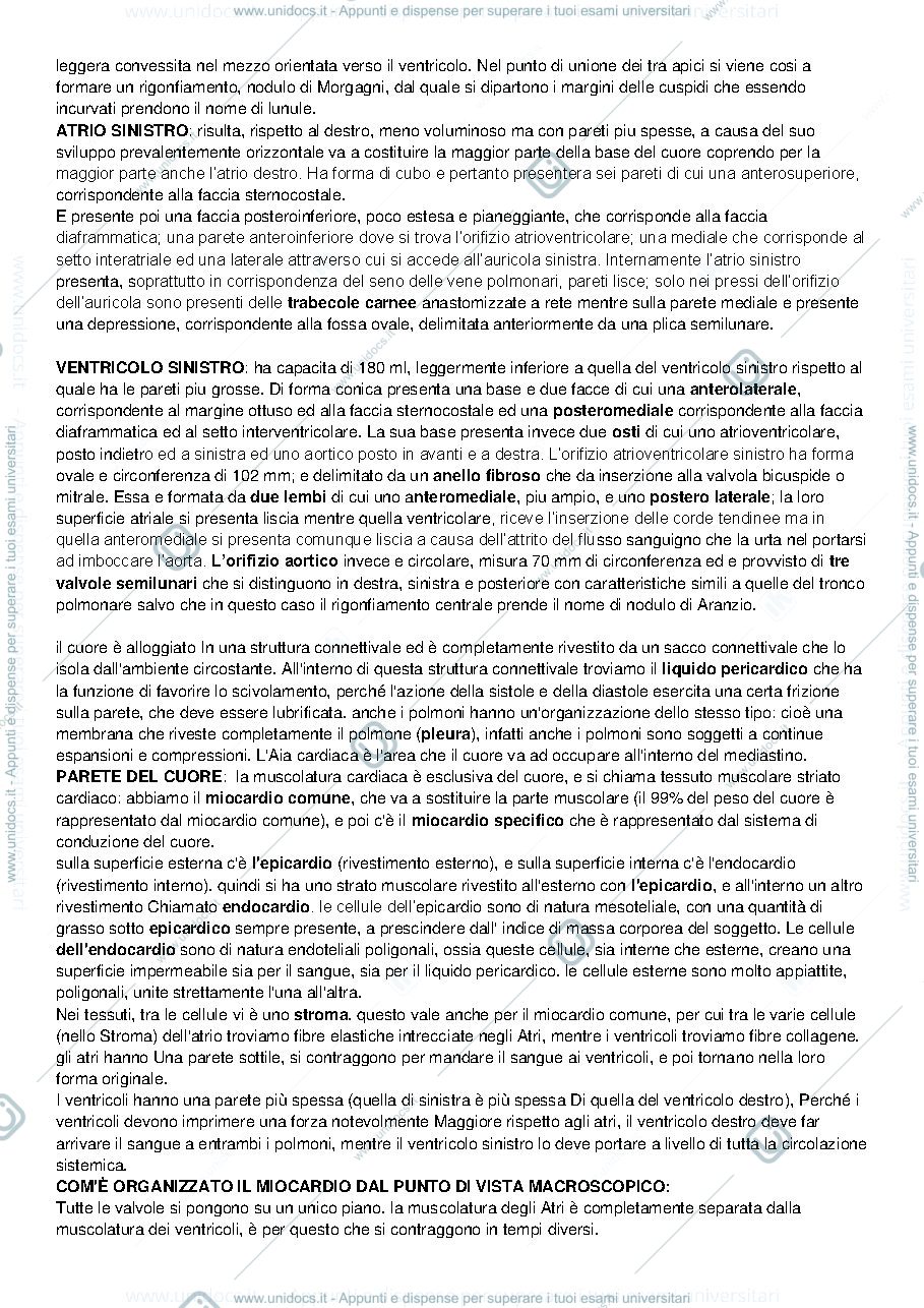 Anteprima pagina 4 — Anatomia