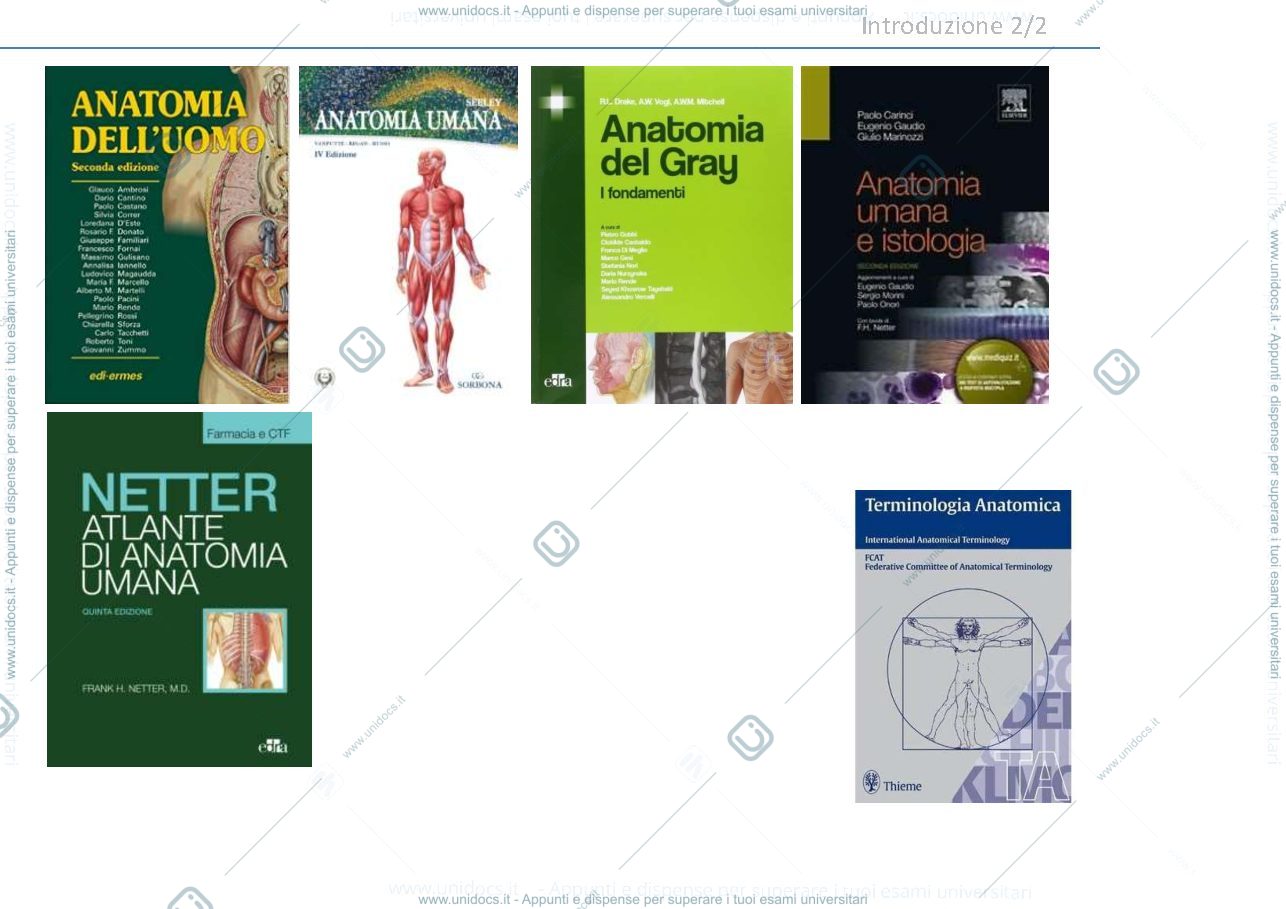 Anteprima pagina 3 — lezione 1