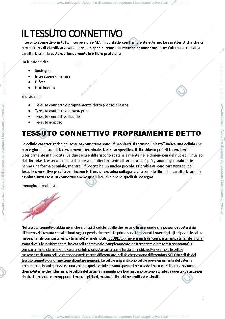 Anteprima pagina 1 — Tessuto connettivo 