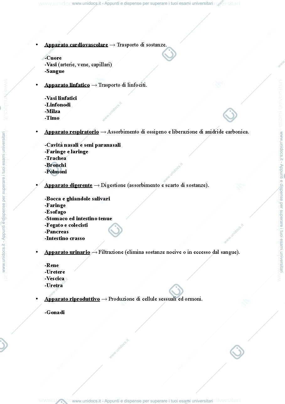 Anteprima pagina 3 — Anatomia Umana I anno 