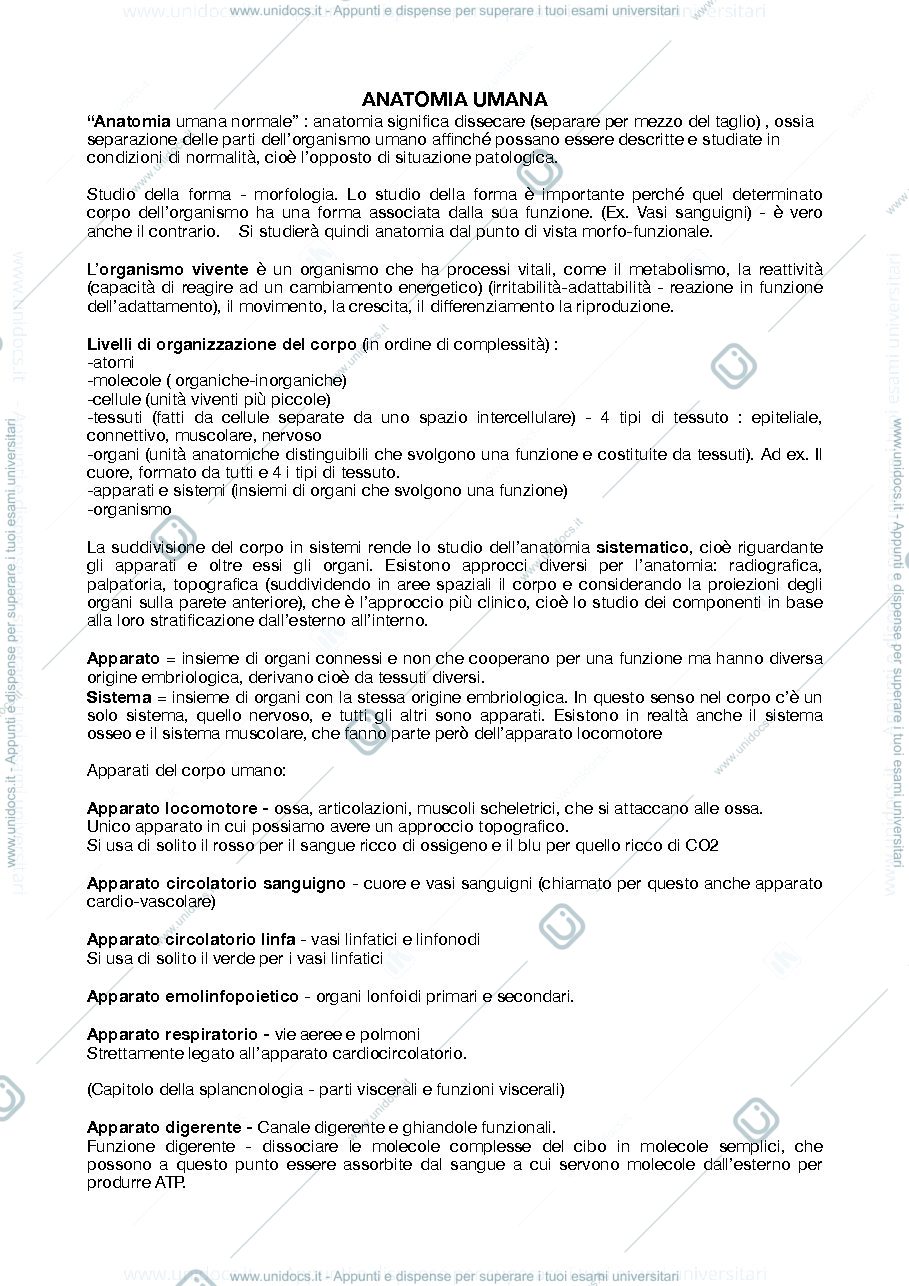 Anteprima pagina 1 — anatomia umana