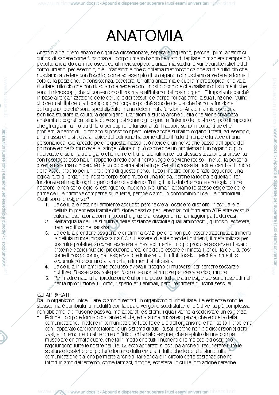 Anteprima pagina 1 — anatomia umana