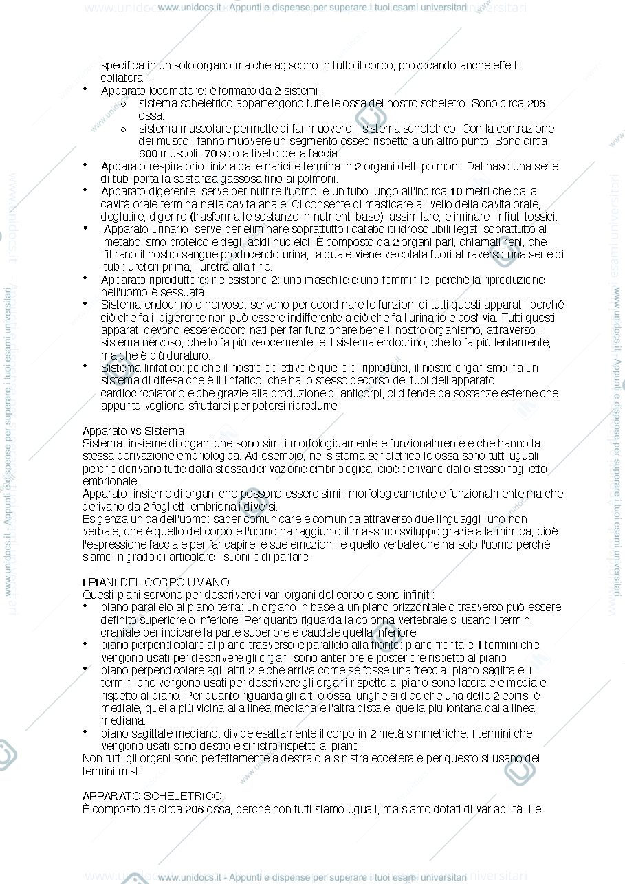 Anteprima pagina 2 — anatomia umana