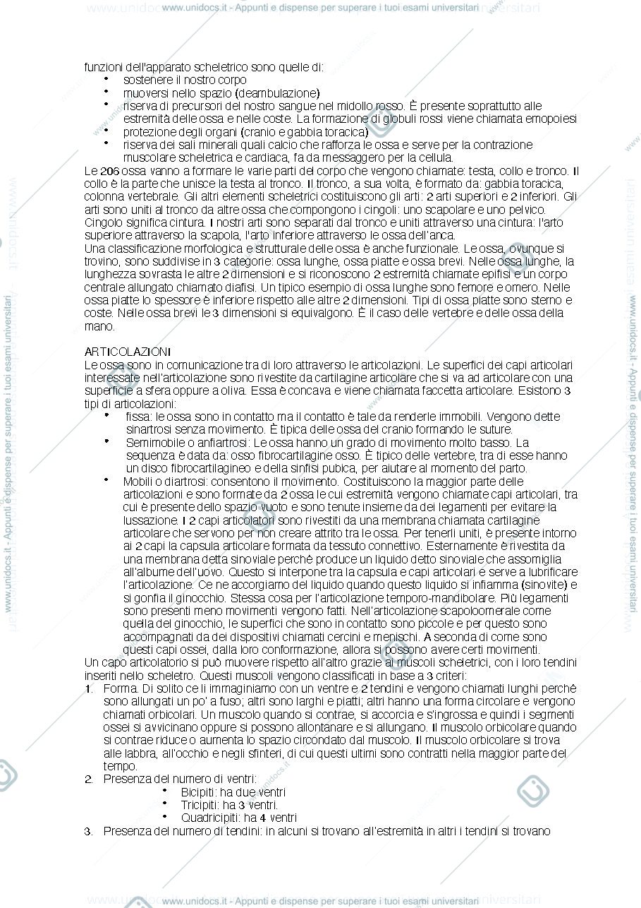 Anteprima pagina 3 — anatomia umana