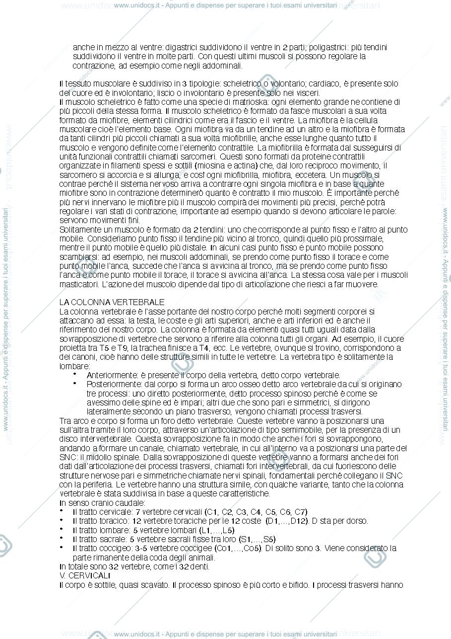 Anteprima pagina 4 — anatomia umana