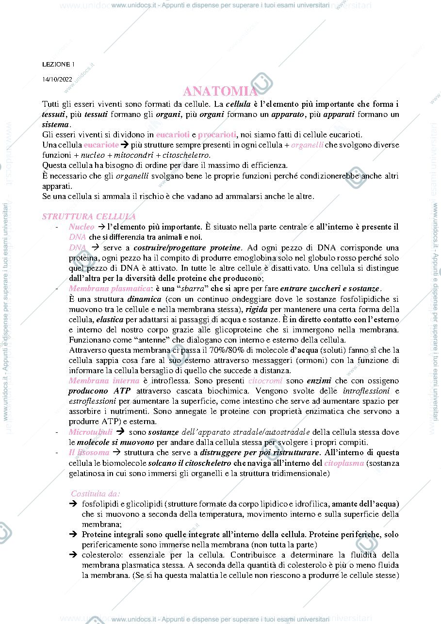 Anteprima pagina 1 — anatomia umana