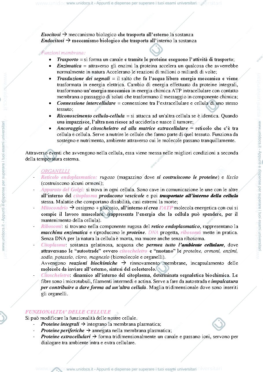 Anteprima pagina 2 — anatomia umana