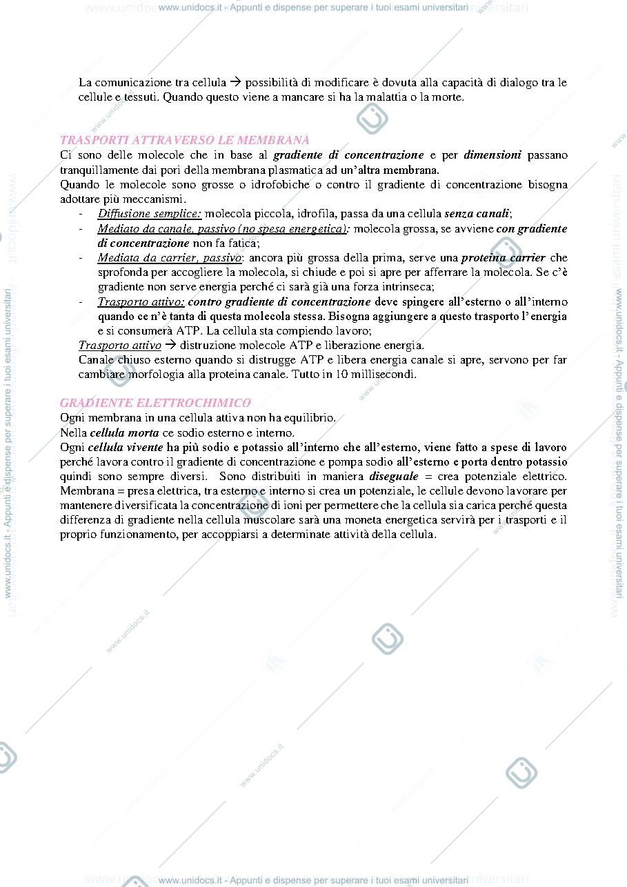 Anteprima pagina 3 — anatomia umana