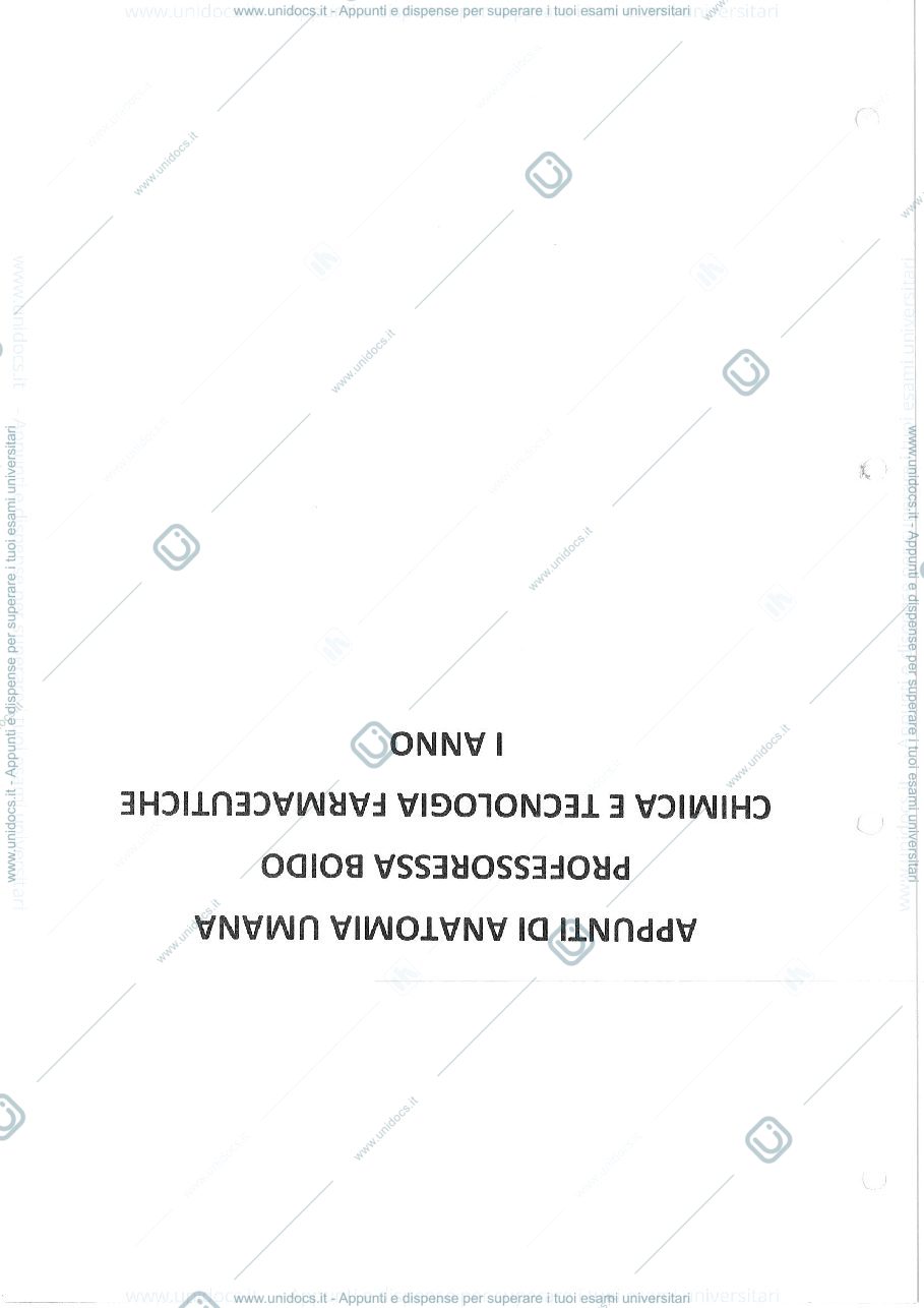 Anteprima pagina 1 — Anatomia umana
