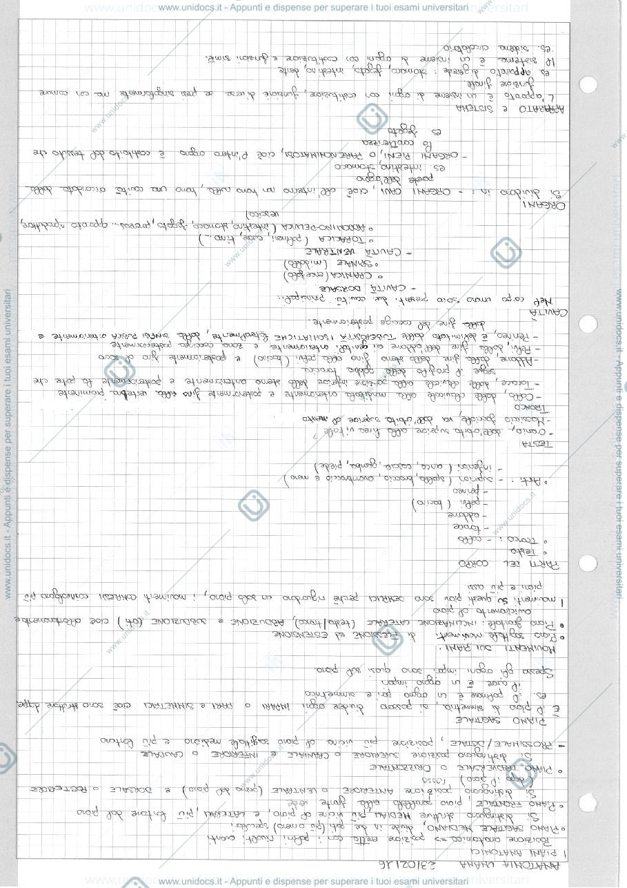 Anteprima pagina 3 — Anatomia umana
