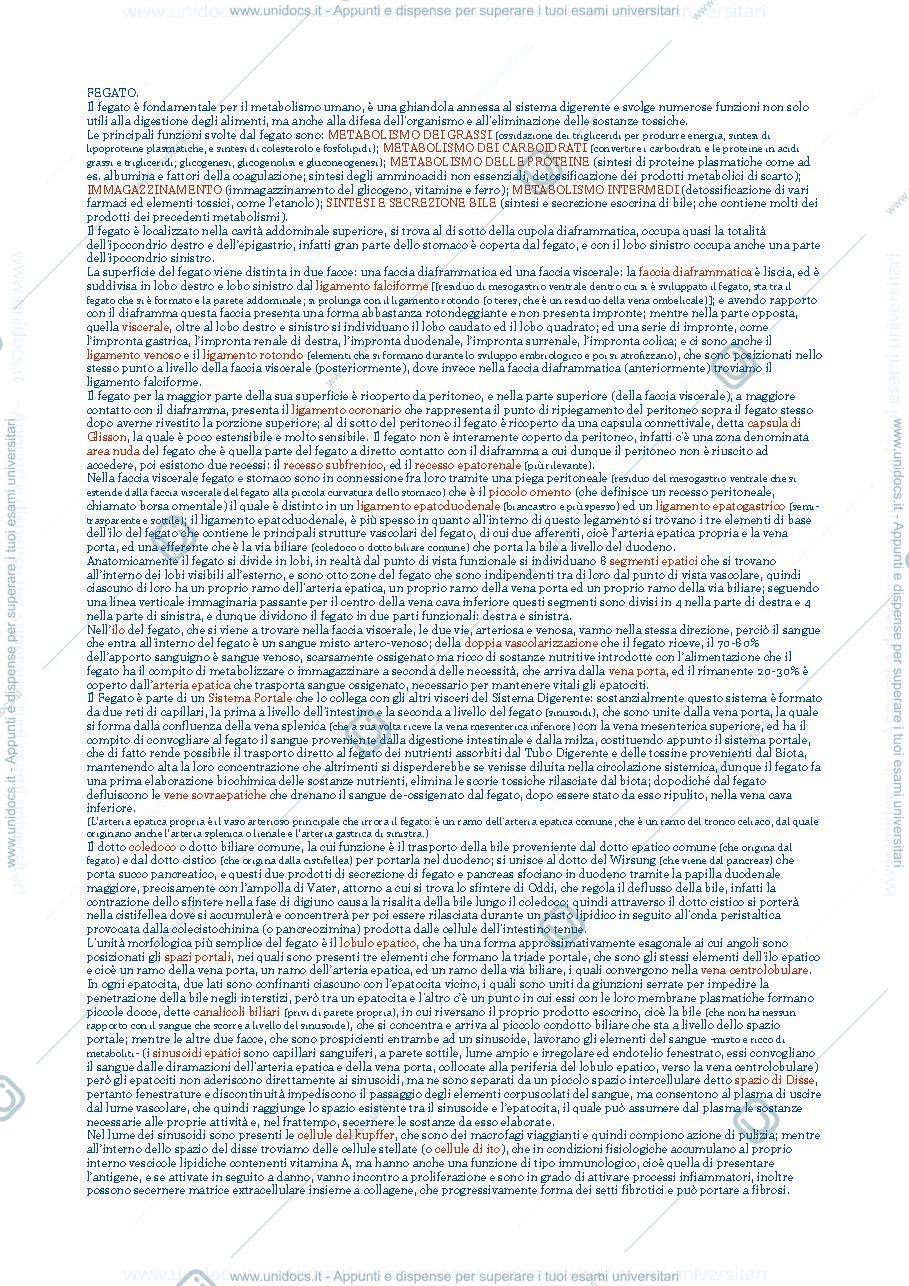 Anteprima pagina 1 — Anatomia umana