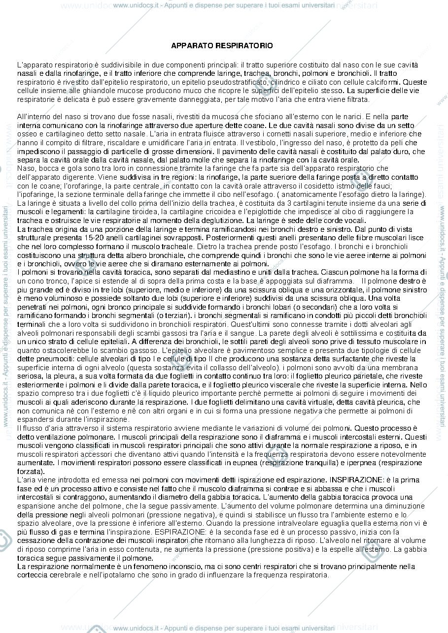 Anteprima pagina 1 — apparato respiratorio