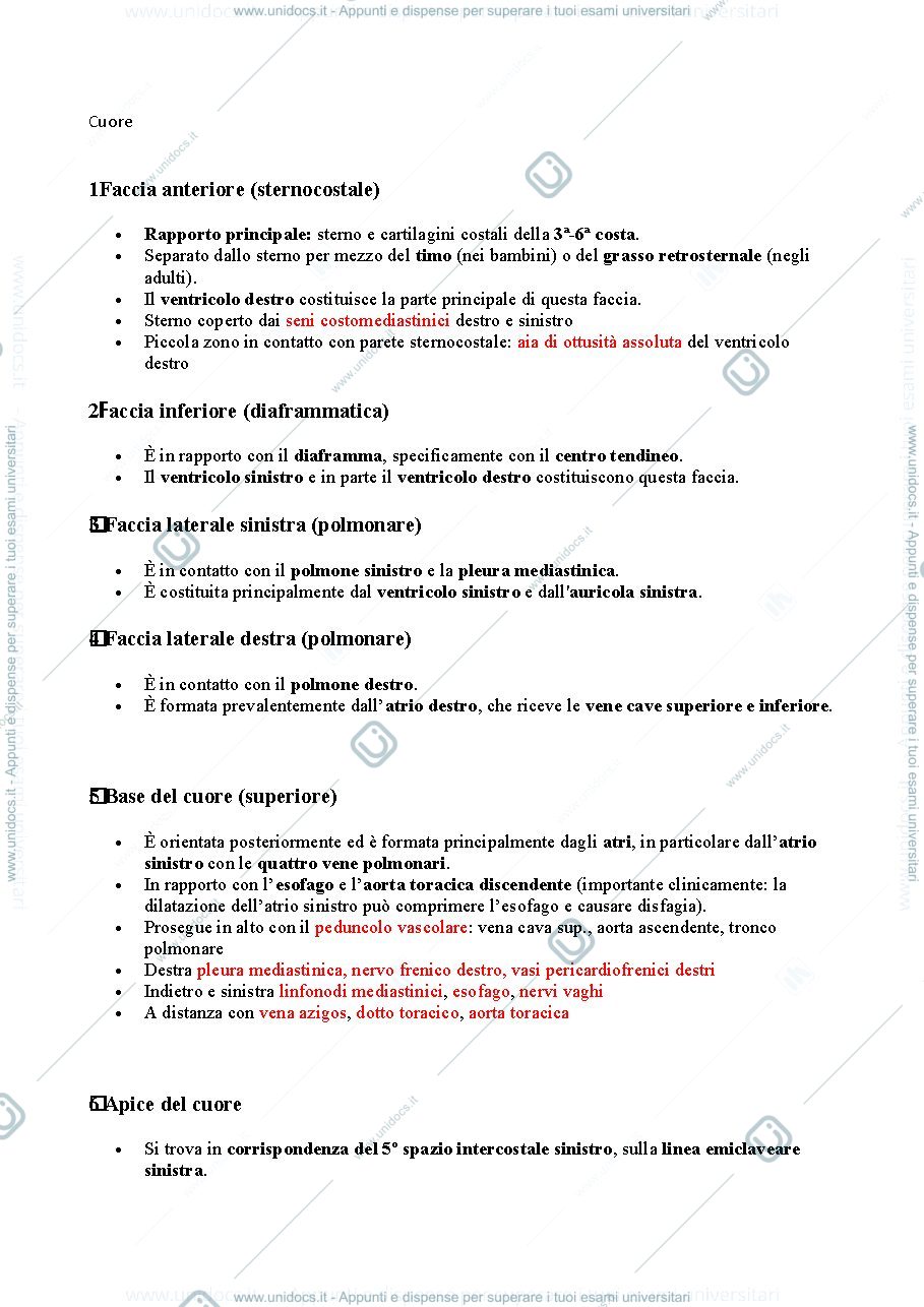 Anteprima pagina 1 — cuore