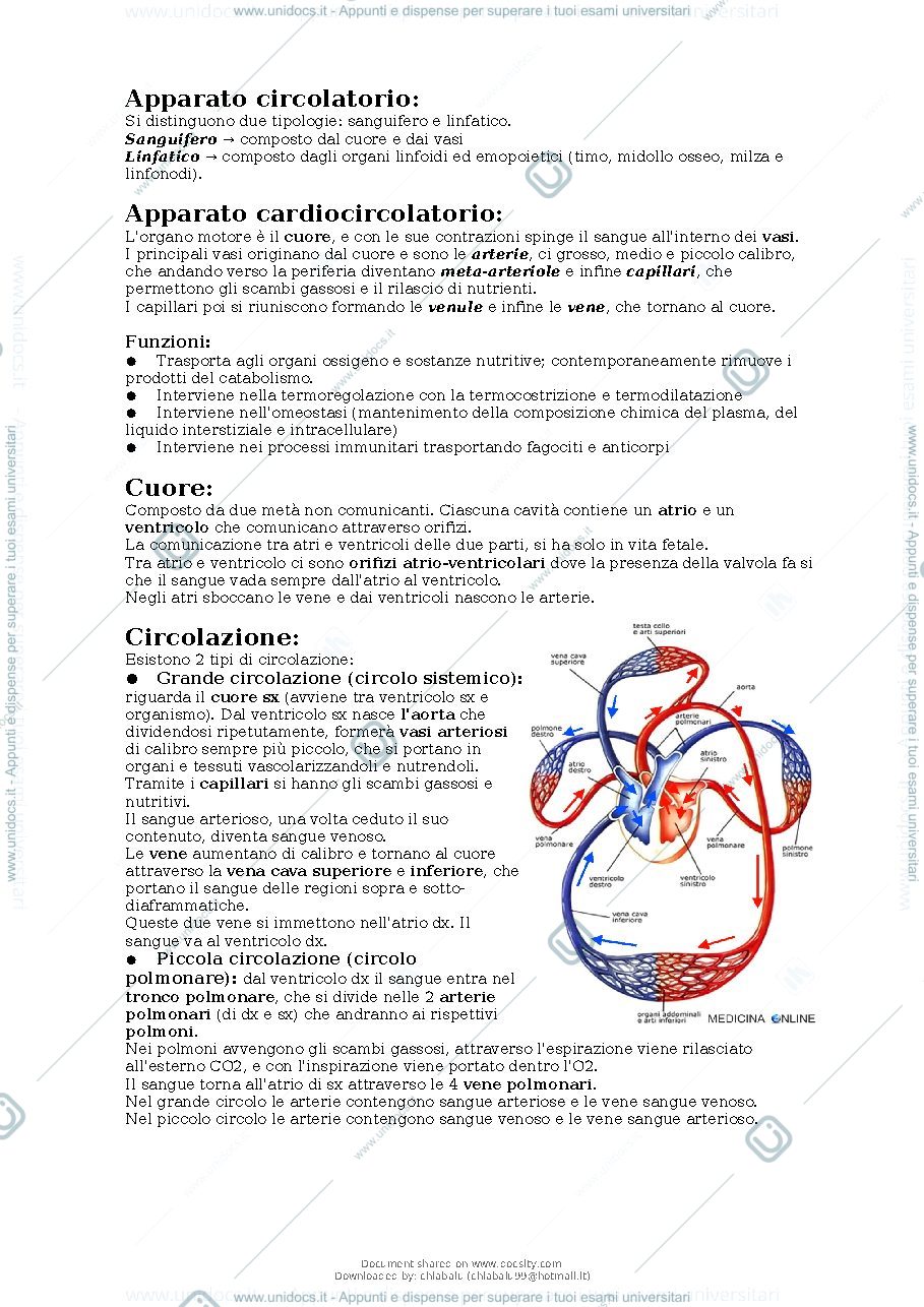 Anteprima pagina 2 — Anatomia apparato cardiocircolatorio 
