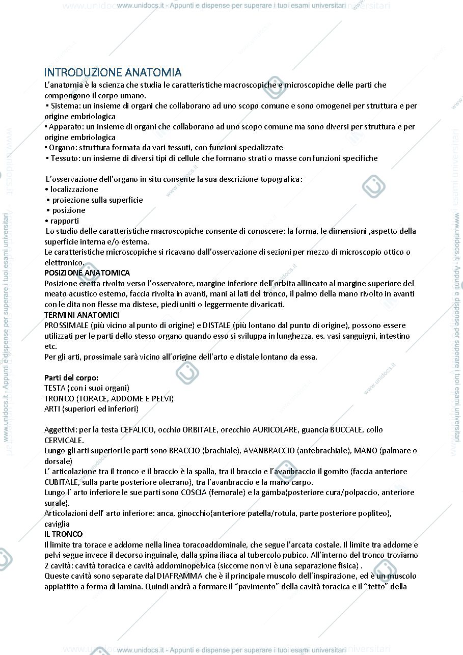 Anteprima pagina 1 — anatomia