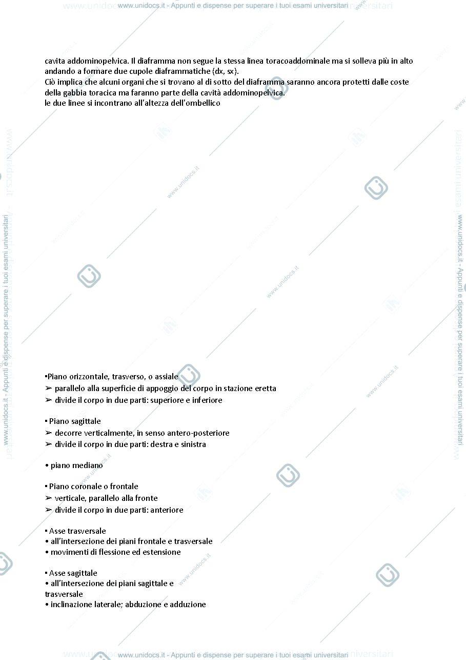 Anteprima pagina 2 — anatomia