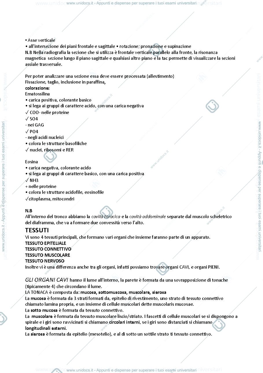 Anteprima pagina 3 — anatomia