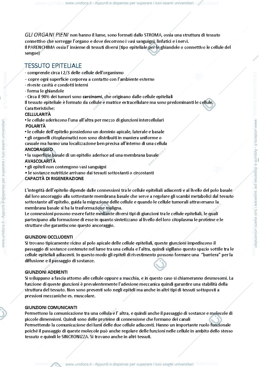 Anteprima pagina 4 — anatomia