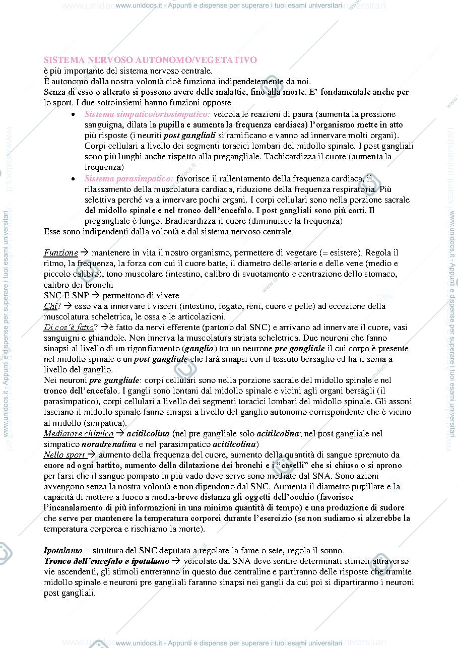 Anteprima pagina 1 — sistema nervoso