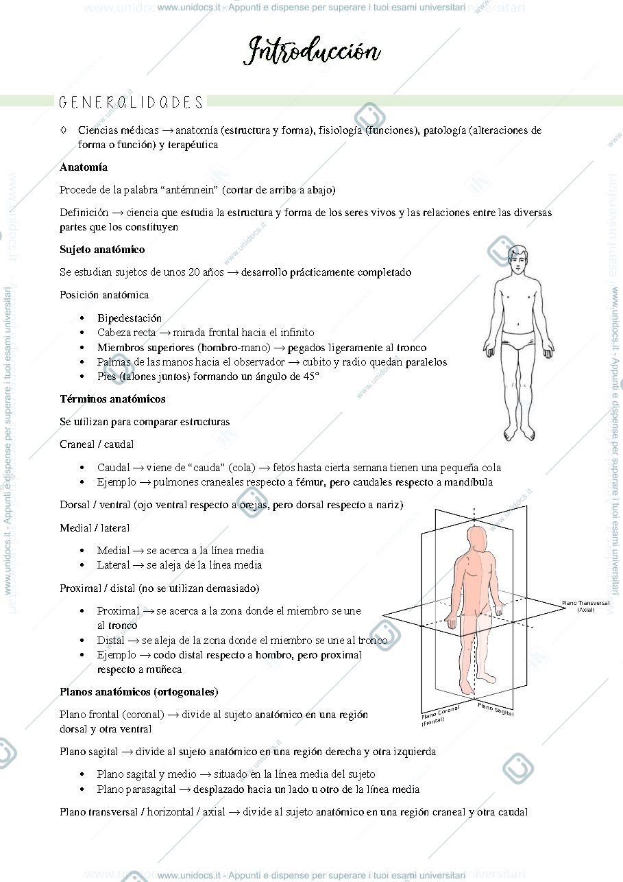 Anteprima pagina 1 — Anatomia