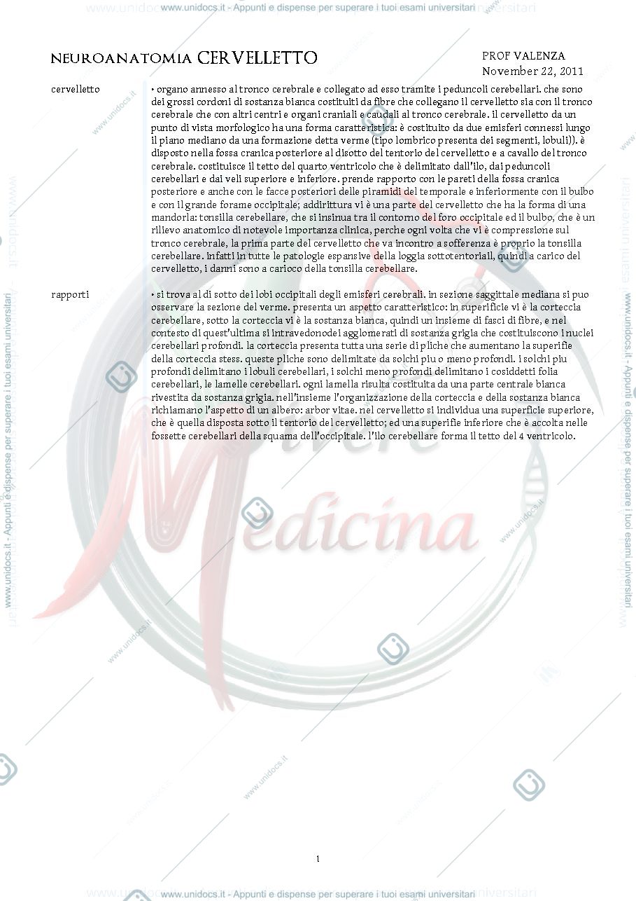 Anteprima pagina 1 — cervelletto