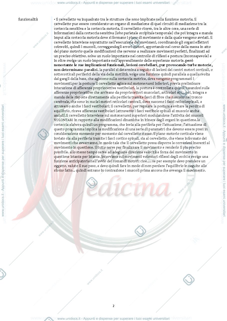 Anteprima pagina 2 — cervelletto