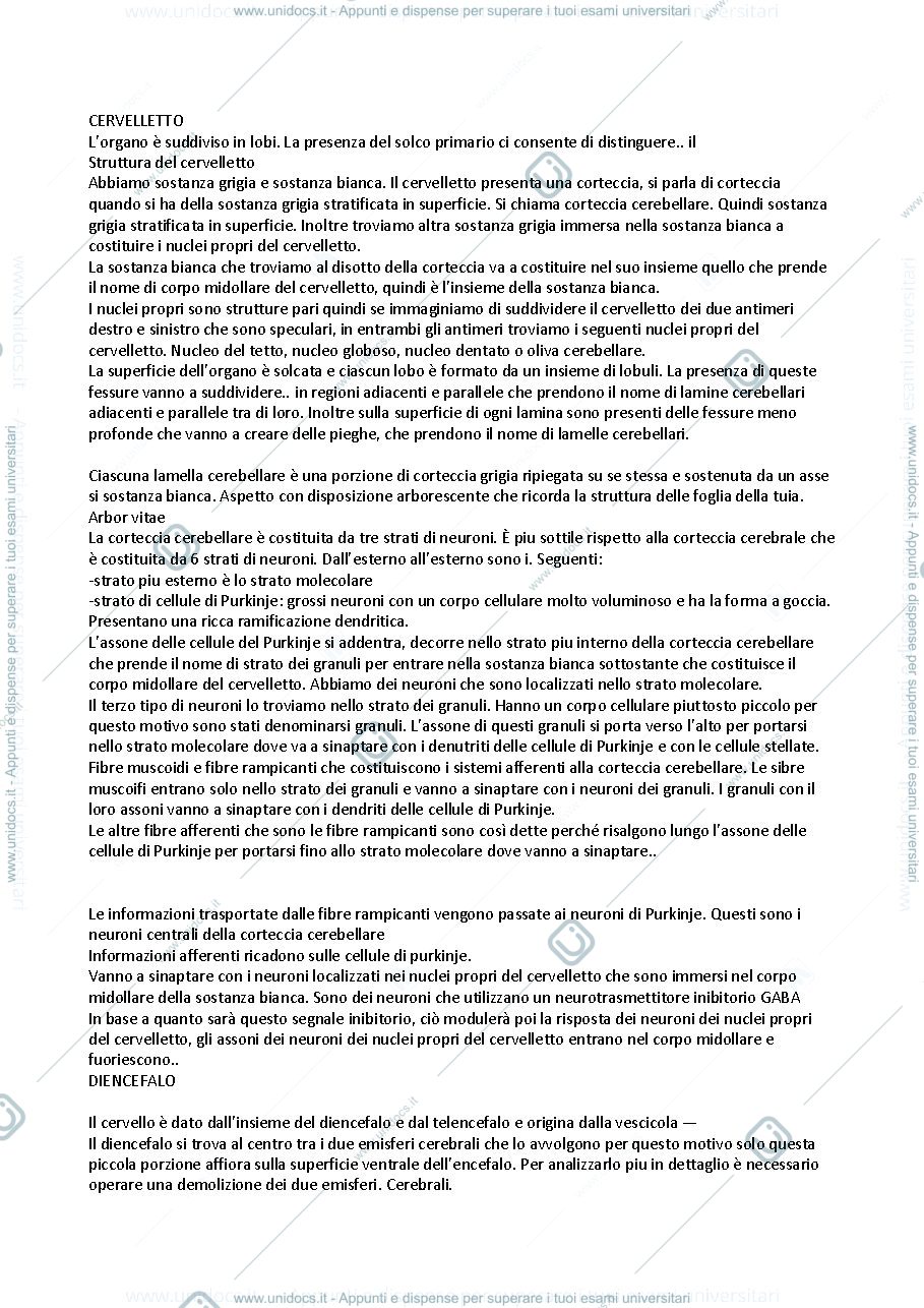 Anteprima pagina 1 — Il sistema nervoso 