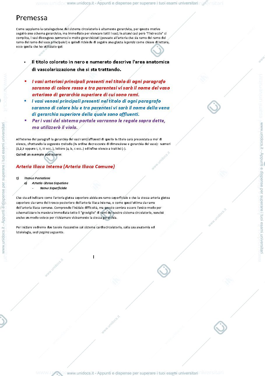 Anteprima pagina 2 — Il Sistema Circolatorio
