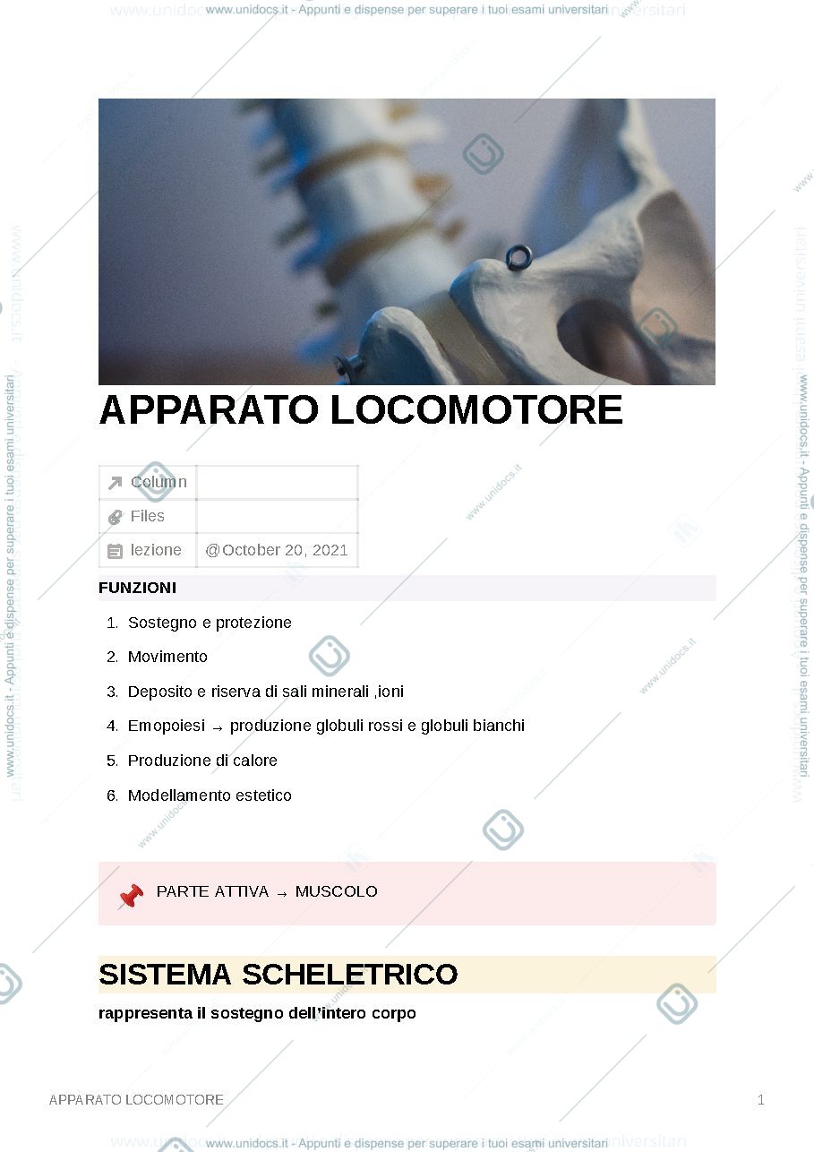 Anteprima pagina 1 — apparato locomotore