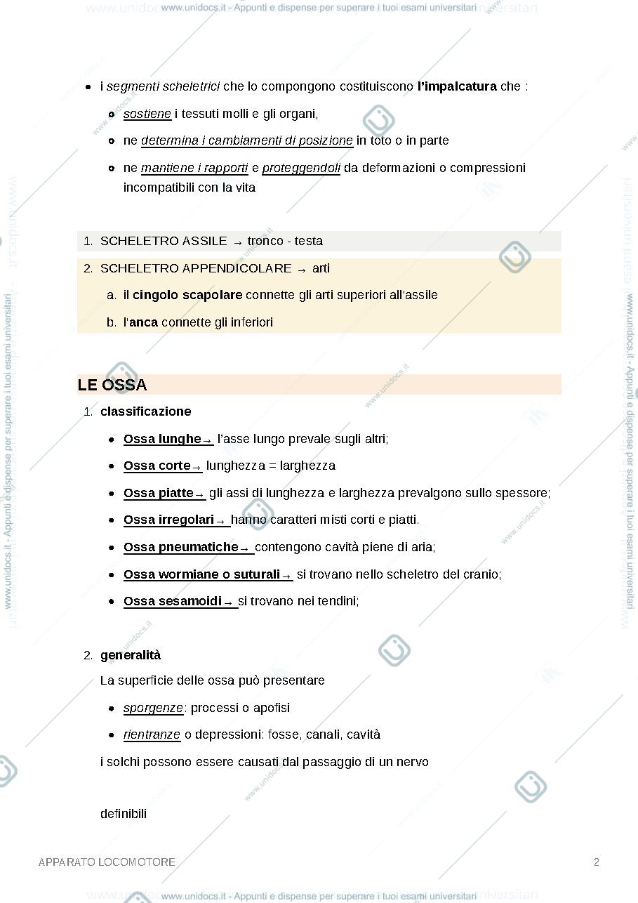 Anteprima pagina 2 — apparato locomotore