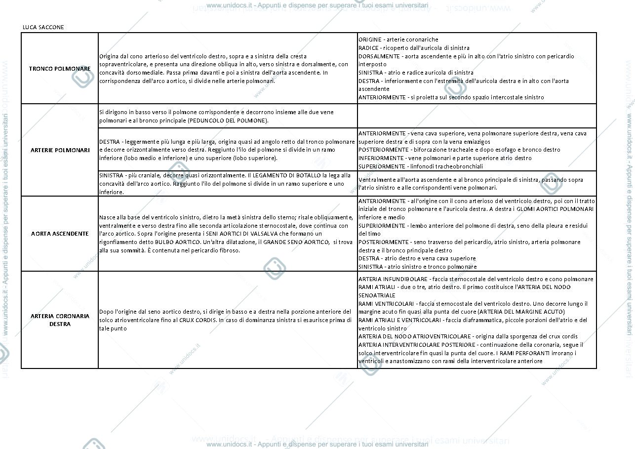 Anteprima pagina 1 — Anatomia, schema arterie e vene