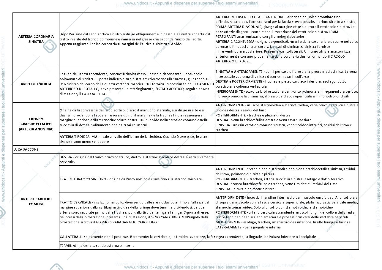Anteprima pagina 2 — Anatomia, schema arterie e vene