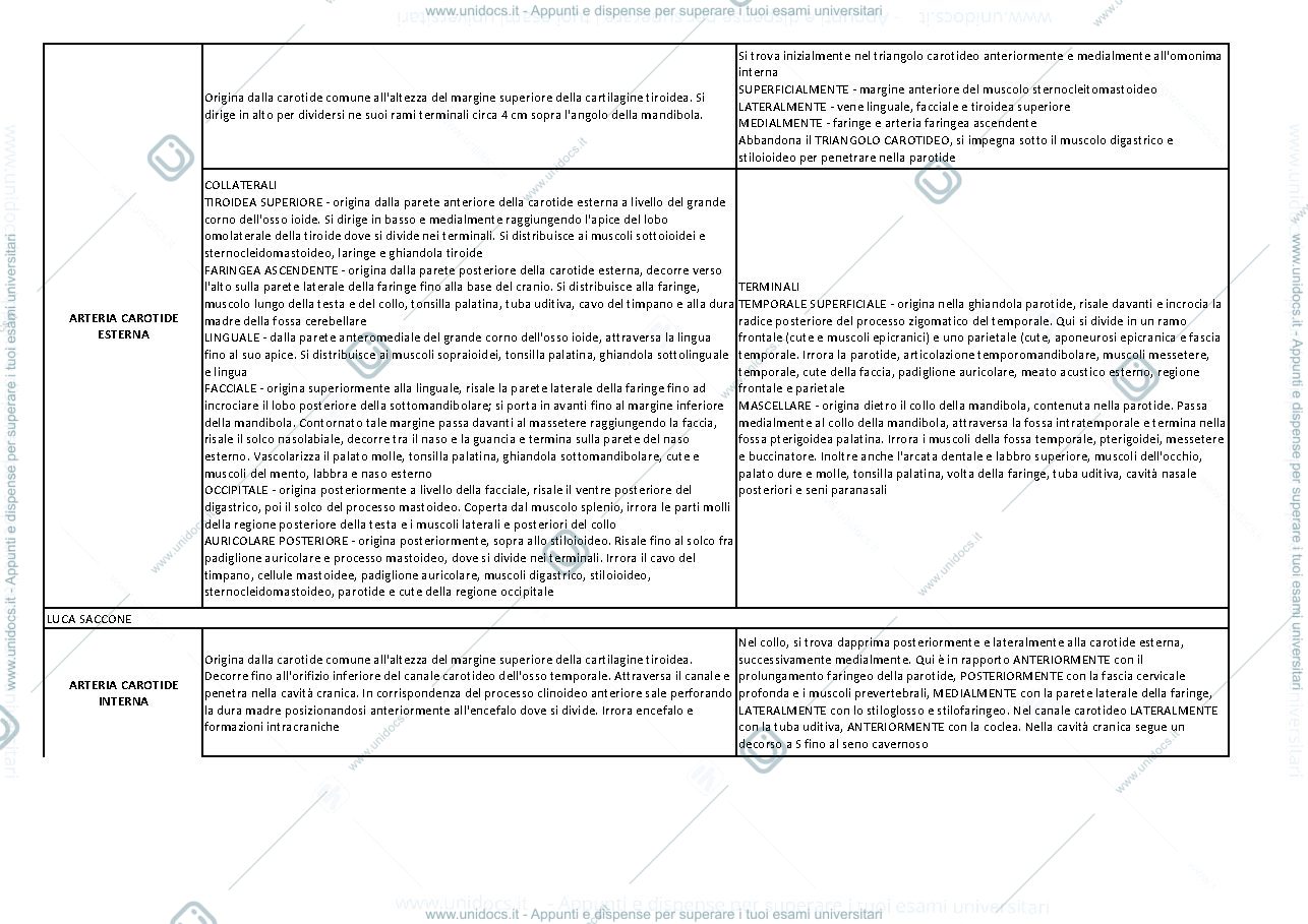 Anteprima pagina 3 — Anatomia, schema arterie e vene