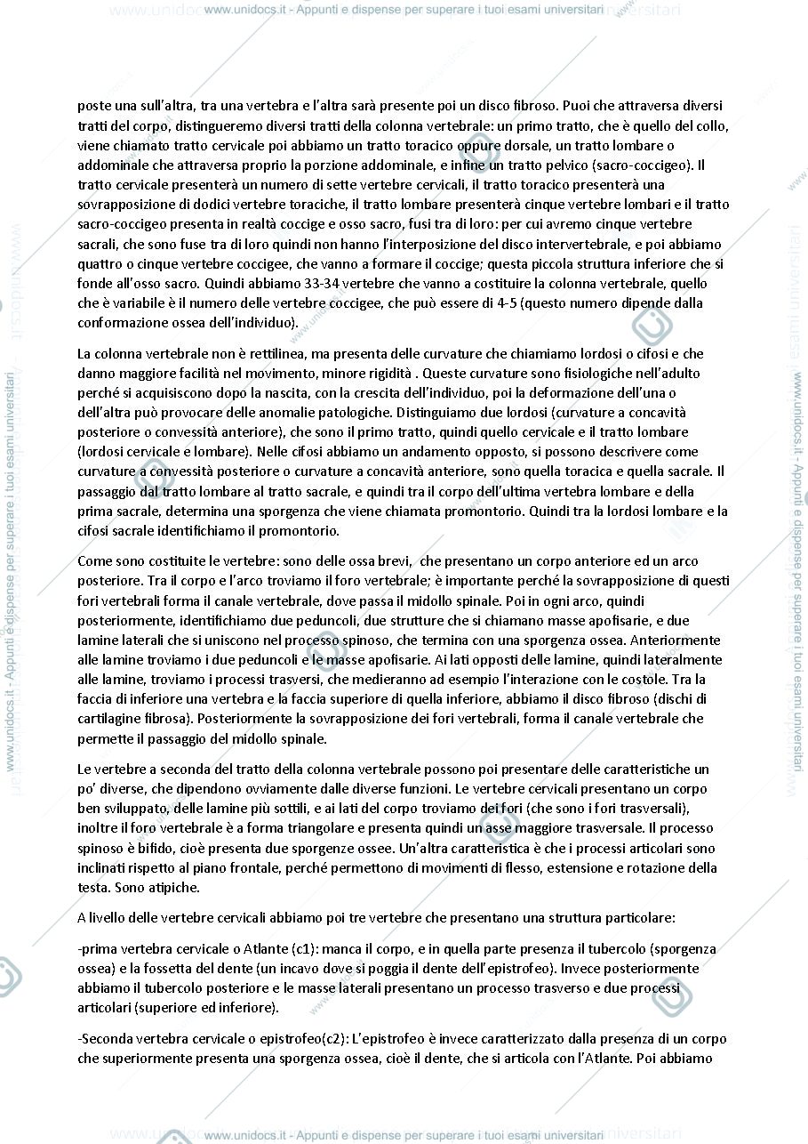Anteprima pagina 4 — Anatomia 