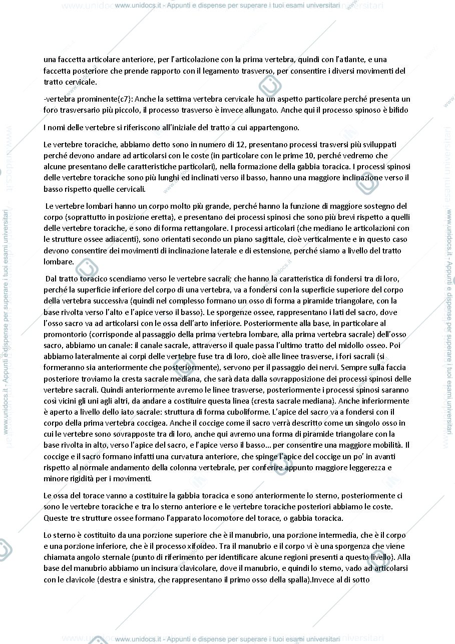 Anteprima pagina 5 — Anatomia 