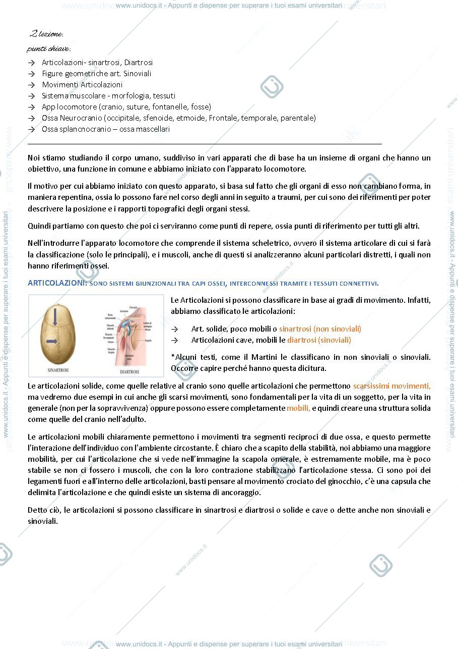 Anteprima pagina 2 — Anatomia Umana 