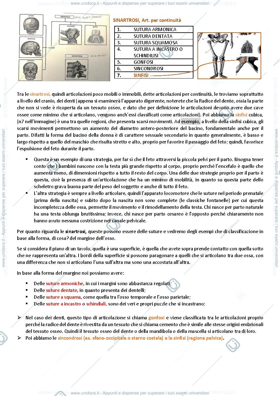 Anteprima pagina 3 — Anatomia Umana 