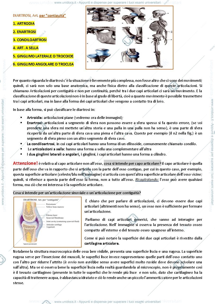 Anteprima pagina 5 — Anatomia Umana 