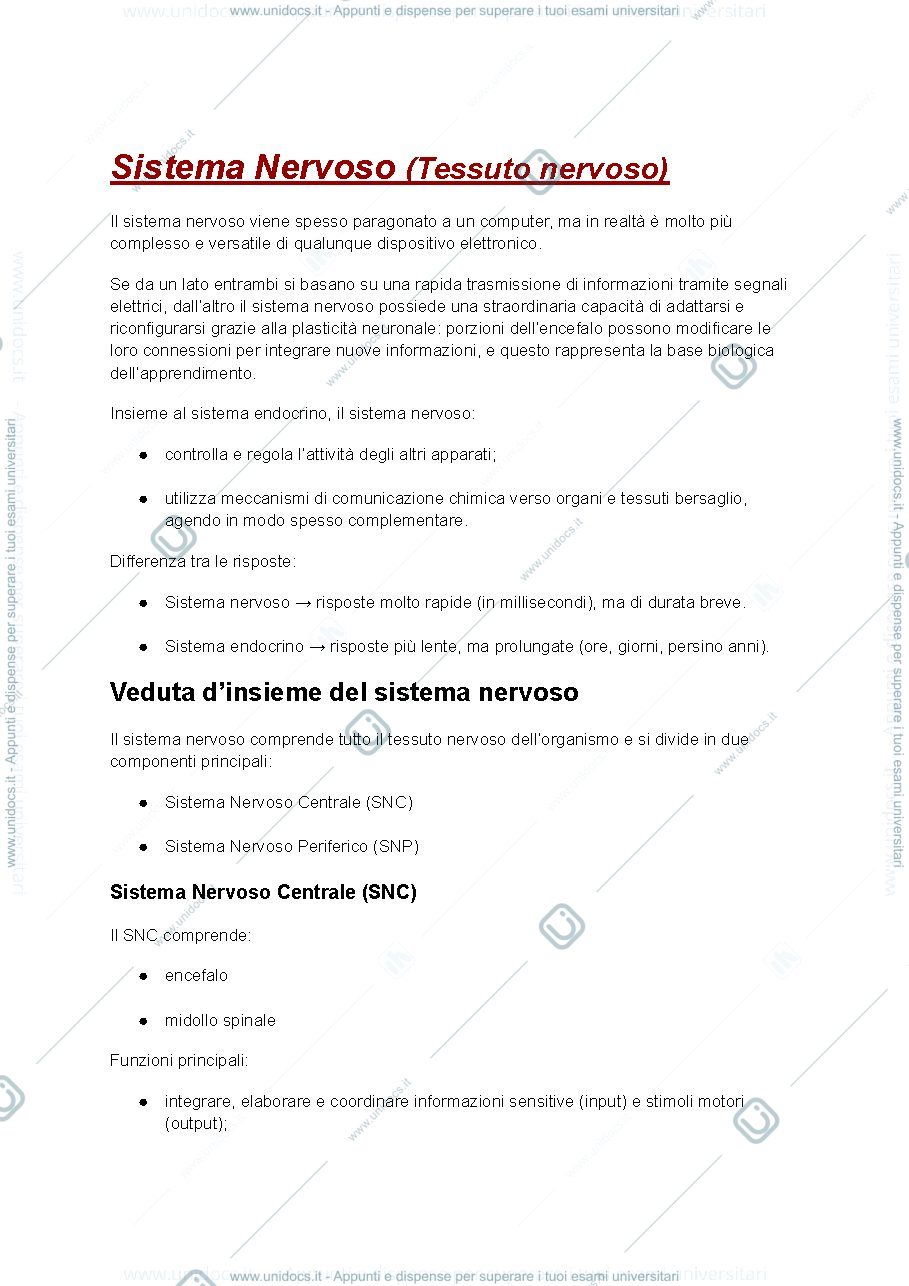 Anteprima pagina 1 — Anatomia-sistema nervoso