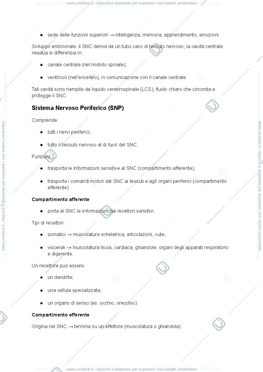 Anteprima pagina 2 — Anatomia-sistema nervoso