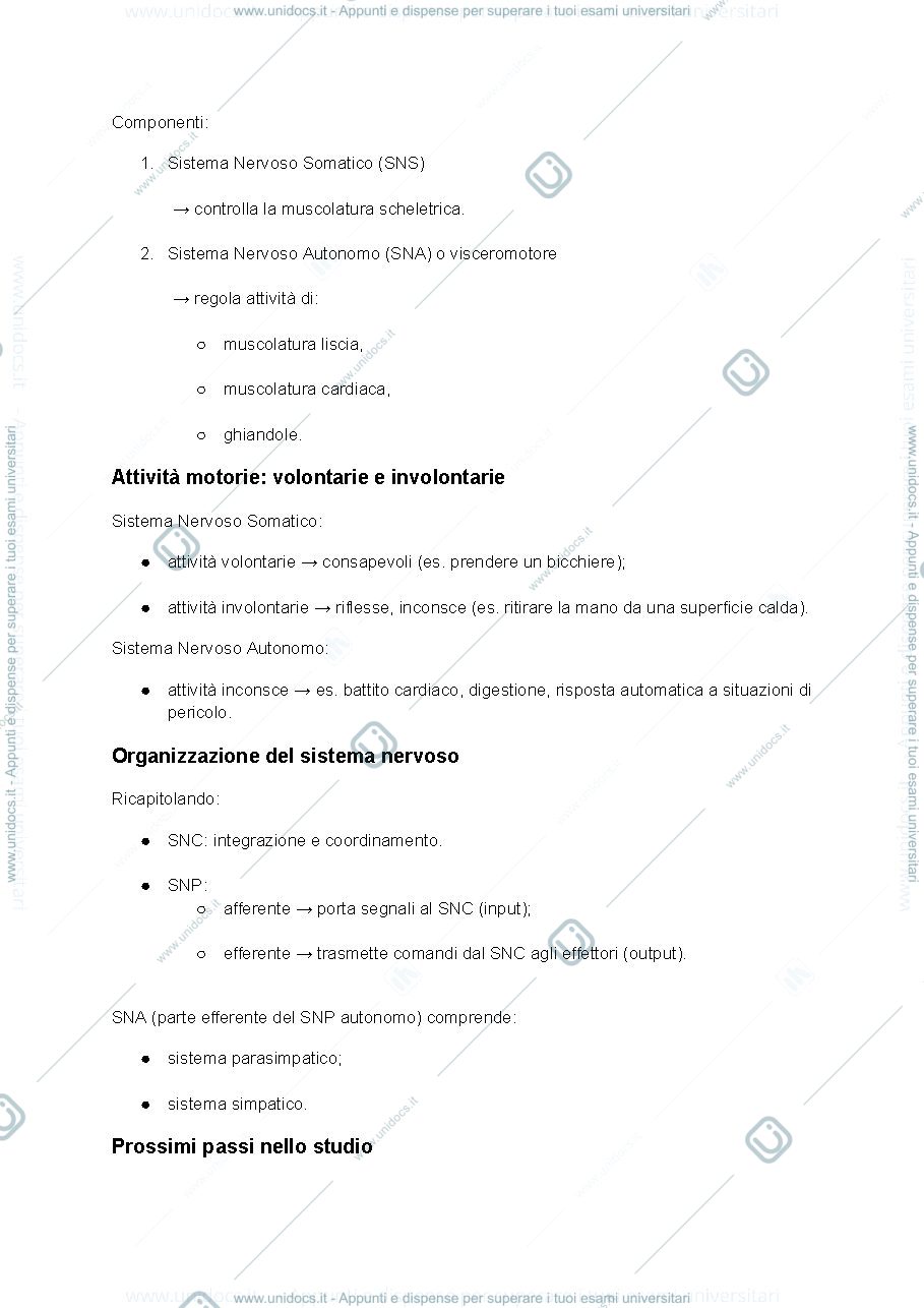Anteprima pagina 3 — Anatomia-sistema nervoso