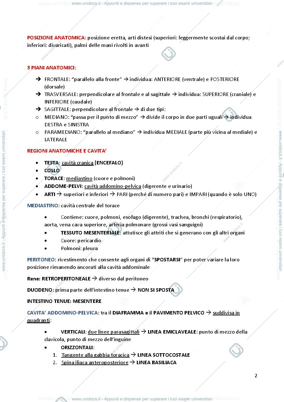 Anteprima pagina 2 — Anatomia Umana
