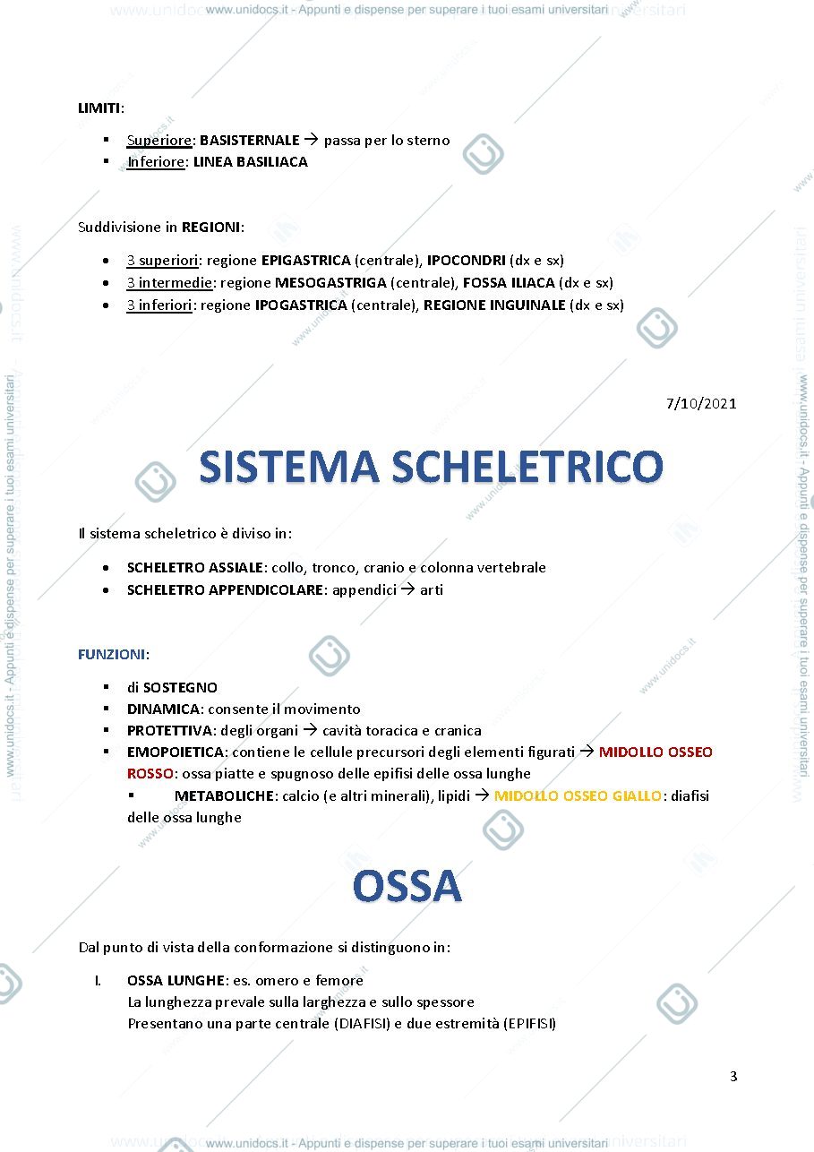 Anteprima pagina 3 — Anatomia Umana