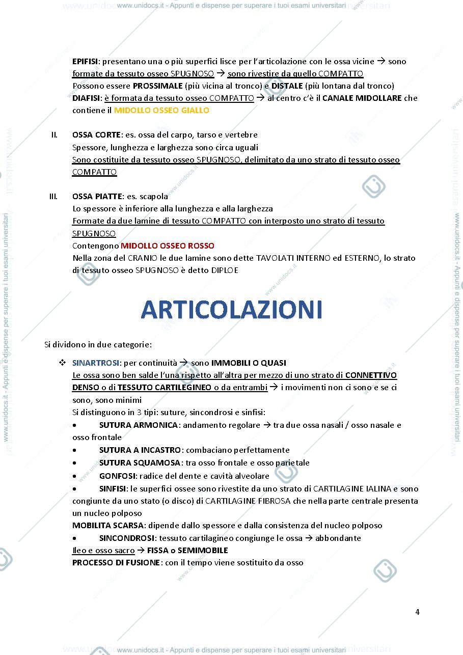 Anteprima pagina 4 — Anatomia Umana