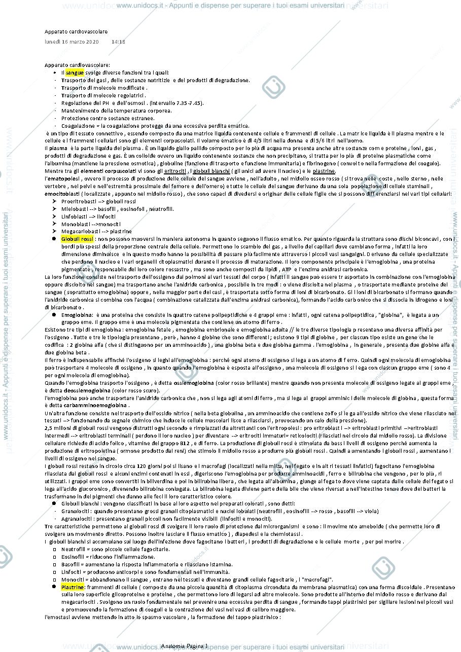 Anteprima pagina 1 — apparato cardiovascolare